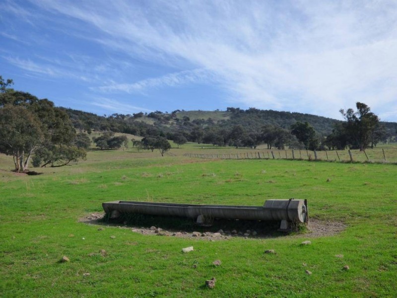 676 Back Brawlin Road, Cootamundra NSW 2590