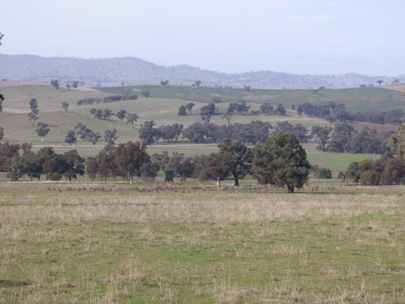 676 Back Brawlin Road, Cootamundra NSW 2590