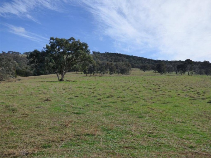 676 Back Brawlin Road, Cootamundra NSW 2590