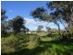 48 Dudauman Street, Cootamundra NSW 2590