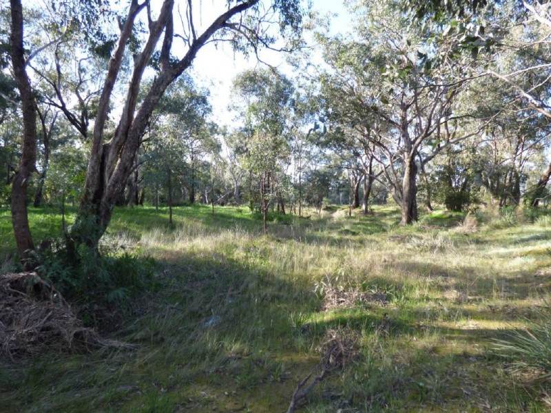 48 Dudauman Street, Cootamundra NSW 2590