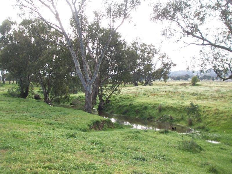 60 Nash’s Lane, Cootamundra NSW 2590