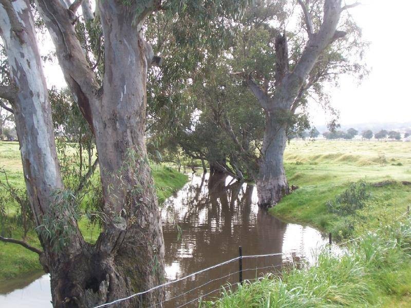 60 Nash’s Lane, Cootamundra NSW 2590