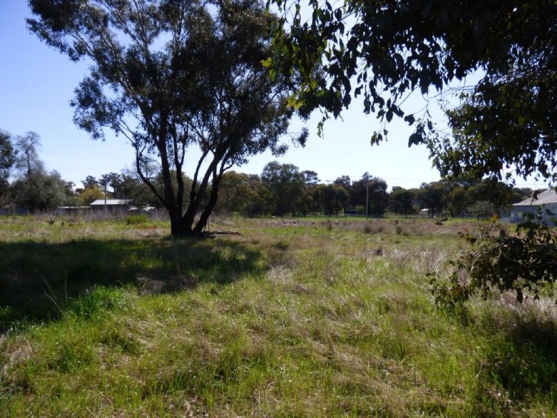 76 Hibernia Street, Stockinbingal NSW 2725