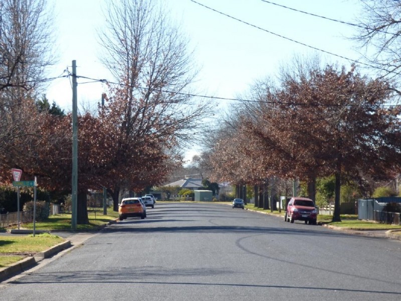 29 Congou Street, Cootamundra NSW 2590