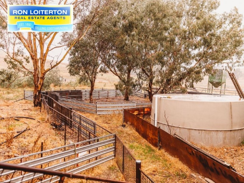 Cootamundra NSW 2590