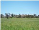 Lot 6 Gundagai Road, Cootamundra NSW 2590
