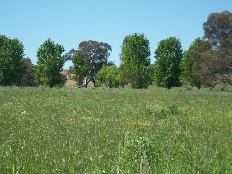 Lot 6 Gundagai Road, Cootamundra NSW 2590