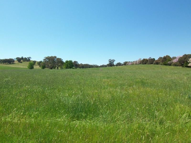 Lot 6 Gundagai Road, Cootamundra NSW 2590