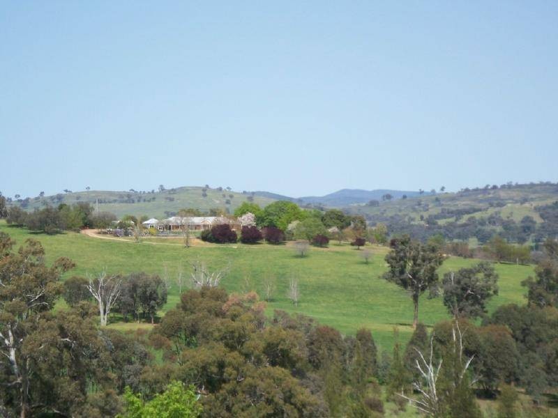 Trappers Hill Gundagai Road, Cootamundra NSW 2590