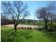 Trappers Hill Gundagai Road, Cootamundra NSW 2590