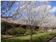 7/97 Sutton Street, Cootamundra NSW 2590