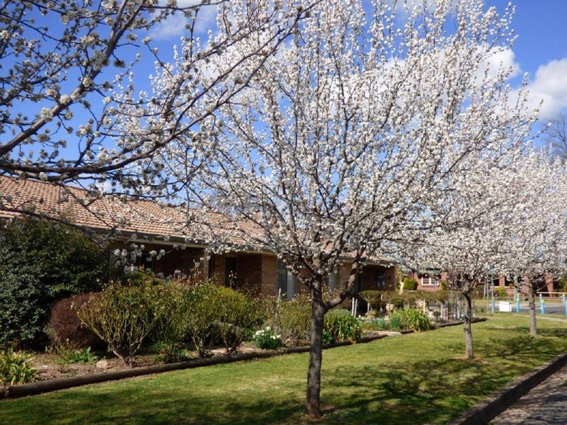 7/97 Sutton Street, Cootamundra NSW 2590