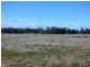 40 Old Wallendbeen Road, Cootamundra NSW 2590
