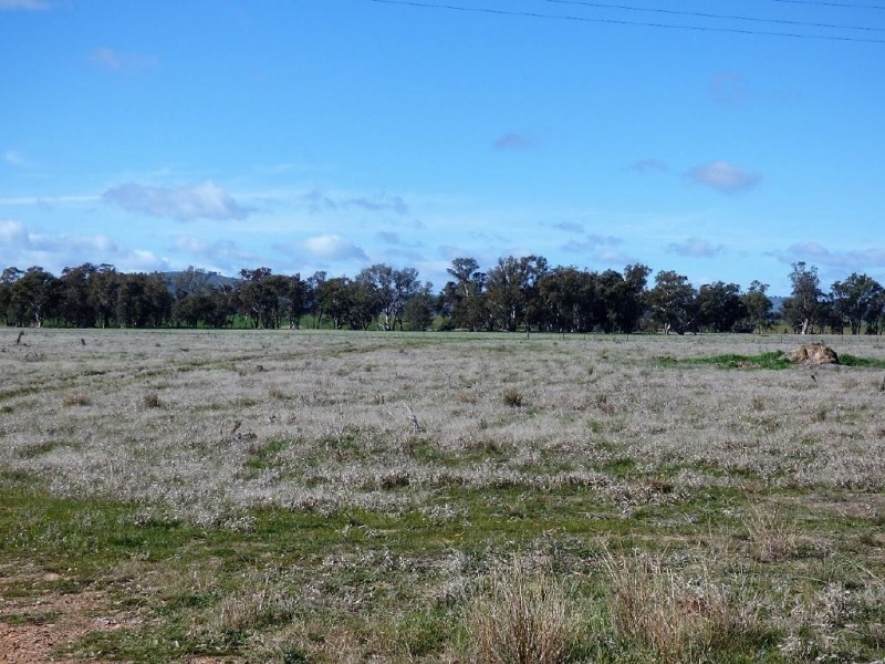 40 Old Wallendbeen Road, Cootamundra NSW 2590