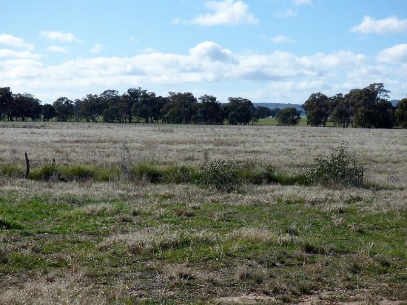 40 Old Wallendbeen Road, Cootamundra NSW 2590