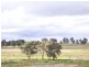 Lot 1-12 Bartley Street, Cootamundra NSW 2590