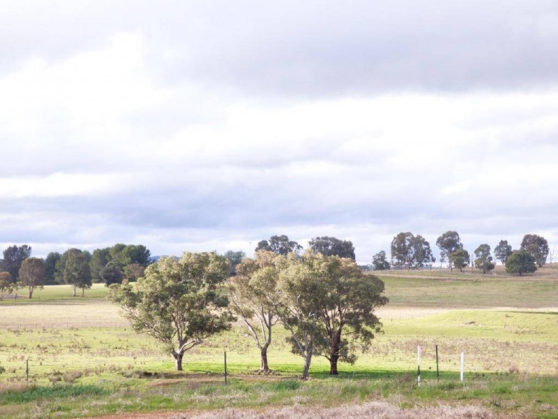 Lot 1-12 Bartley Street, Cootamundra NSW 2590
