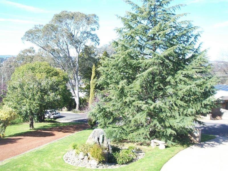 24 Richards Street, Cootamundra NSW 2590