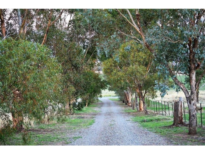 751 Stockinbingal Road, Cootamundra NSW 2590