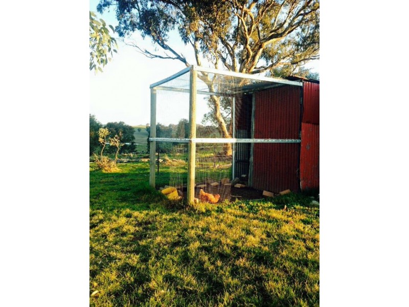751 Stockinbingal Road, Cootamundra NSW 2590