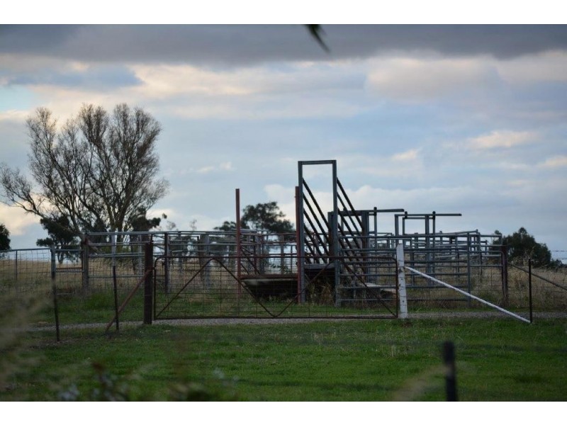 751 Stockinbingal Road, Cootamundra NSW 2590