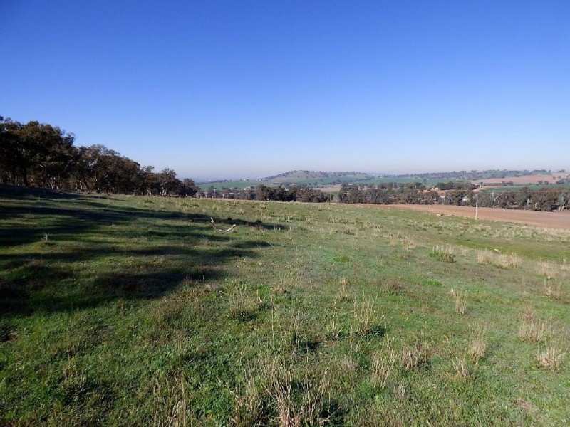 Lot 12 Stockinbingal Road, Cootamundra NSW 2590