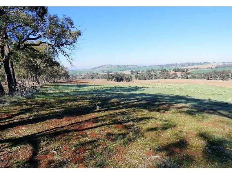 Lot 12 Stockinbingal Road, Cootamundra NSW 2590