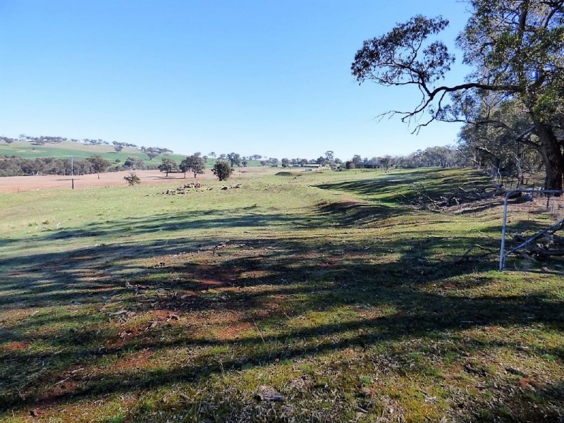Lot 12 Stockinbingal Road, Cootamundra NSW 2590