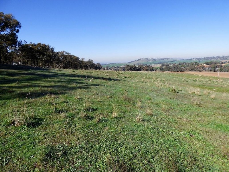 Lot 12 Stockinbingal Road, Cootamundra NSW 2590