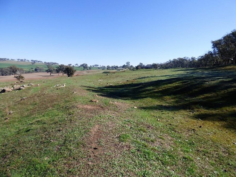 Lot 12 Stockinbingal Road, Cootamundra NSW 2590