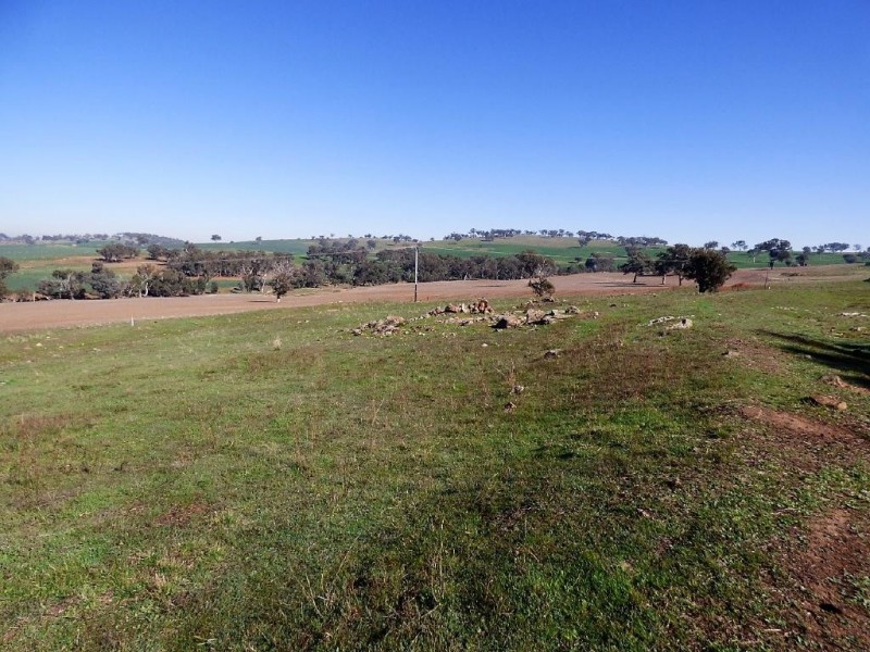 Lot 12 Stockinbingal Road, Cootamundra NSW 2590