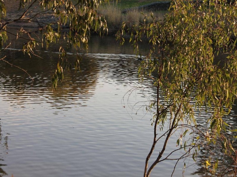 28/8 Short Street, Cootamundra NSW 2590