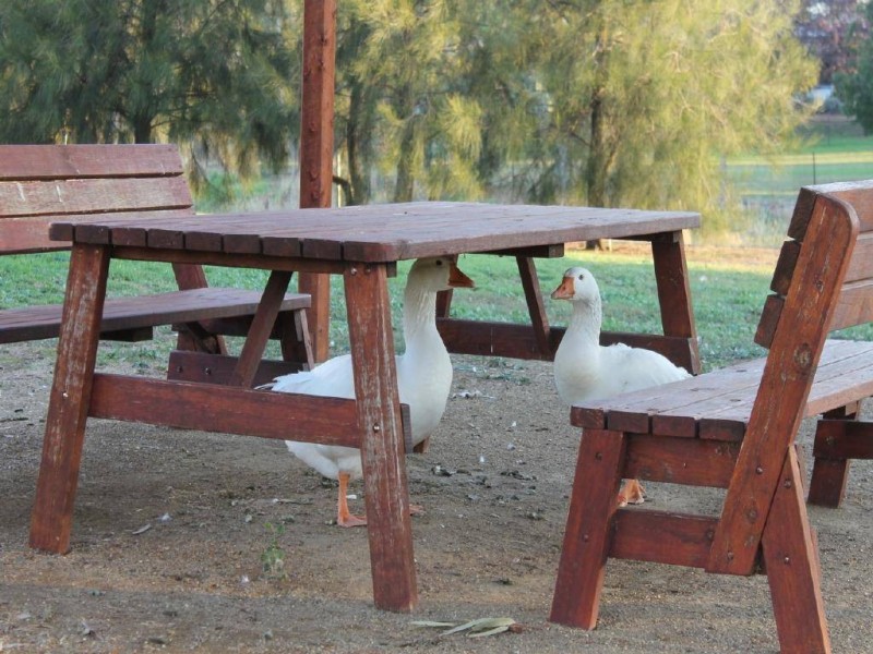 28/8 Short Street, Cootamundra NSW 2590