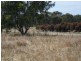 Lot 10 Boundary Road, Cootamundra NSW 2590