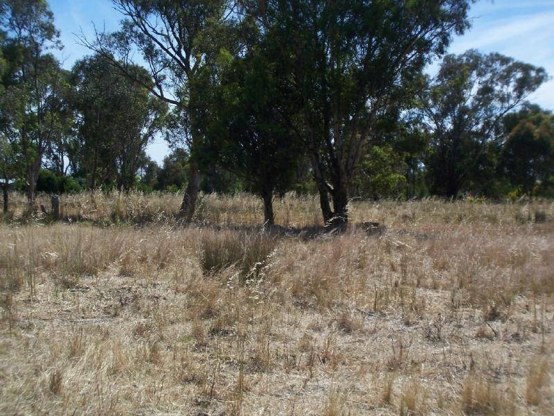 Lot 10 Boundary Road, Cootamundra NSW 2590