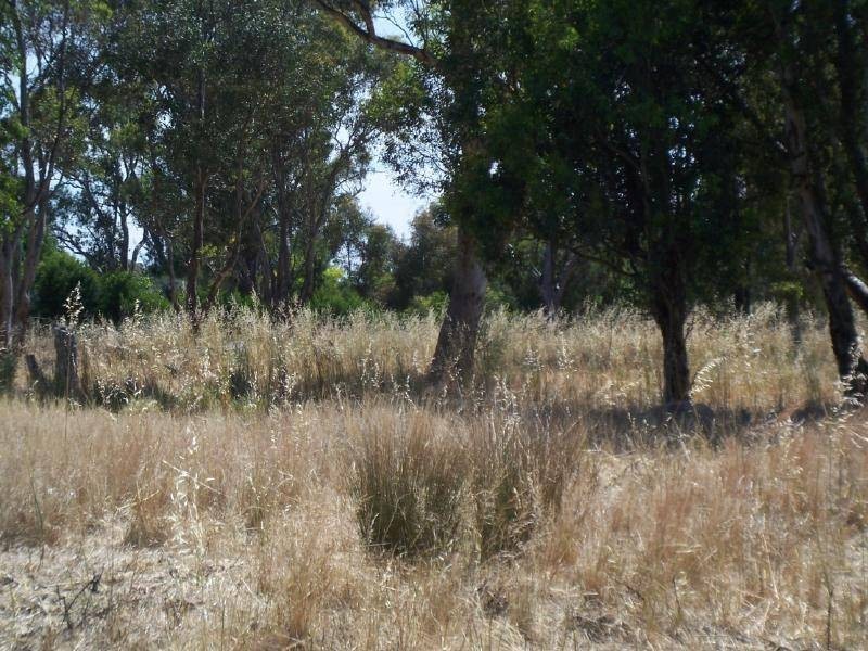 Lot 10 Boundary Road, Cootamundra NSW 2590