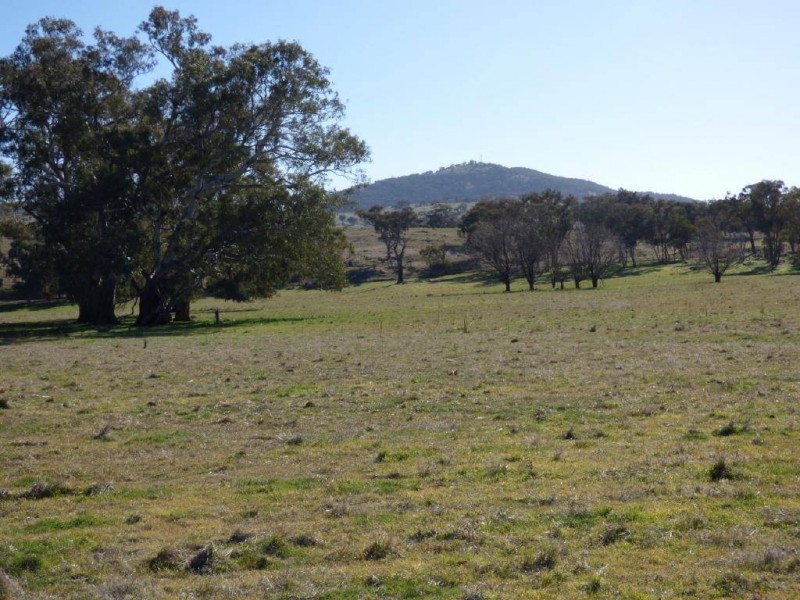 3133 Olympic Highway, Cootamundra NSW 2590