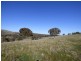 3133 Olympic Highway, Cootamundra NSW 2590