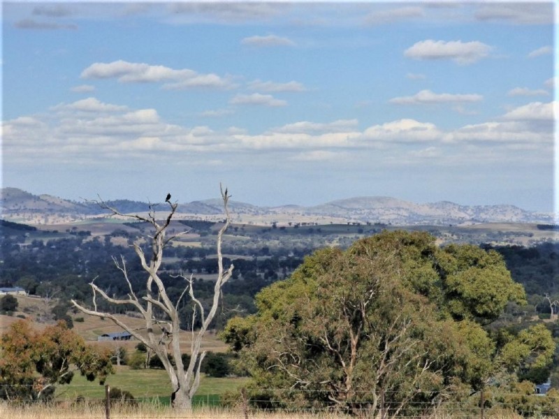 97 Salt Clay Road, Cootamundra NSW 2590