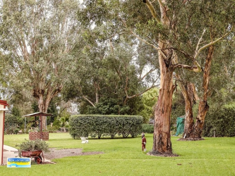 16 Hoskin Street, Wallendbeen NSW 2588