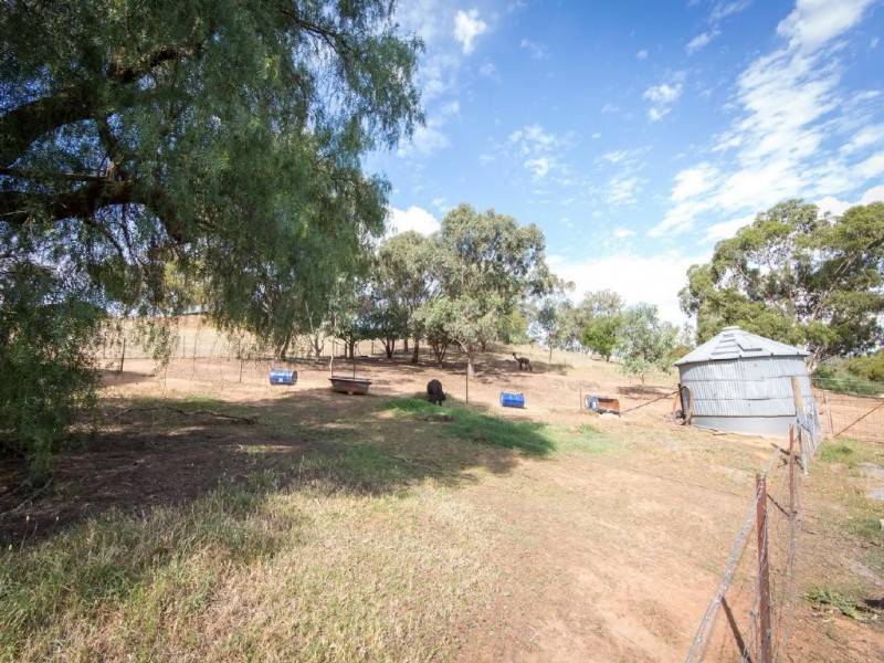 170 Pinkerton Road, Cootamundra NSW 2590