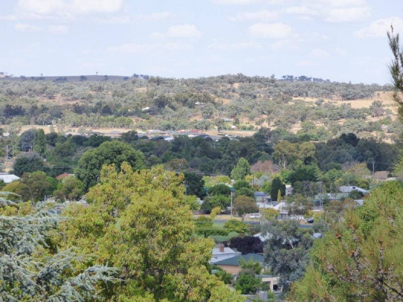 9 Ward Street, Cootamundra NSW 2590