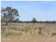 4397 Old Cootamundra Road, Temora NSW 2666
