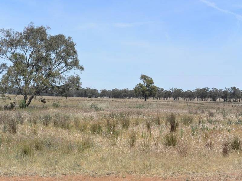 4397 Old Cootamundra Road, Temora NSW 2666