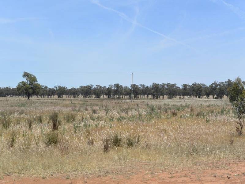 4397 Old Cootamundra Road, Temora NSW 2666