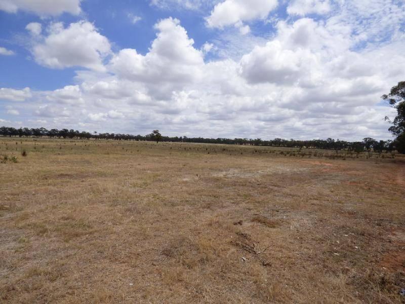 4397 Old Cootamundra Road, Temora NSW 2666