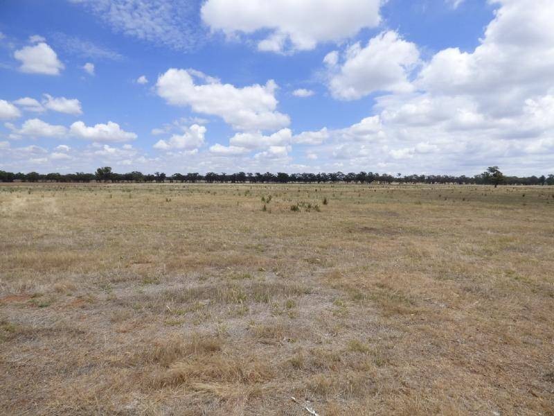 4397 Old Cootamundra Road, Temora NSW 2666