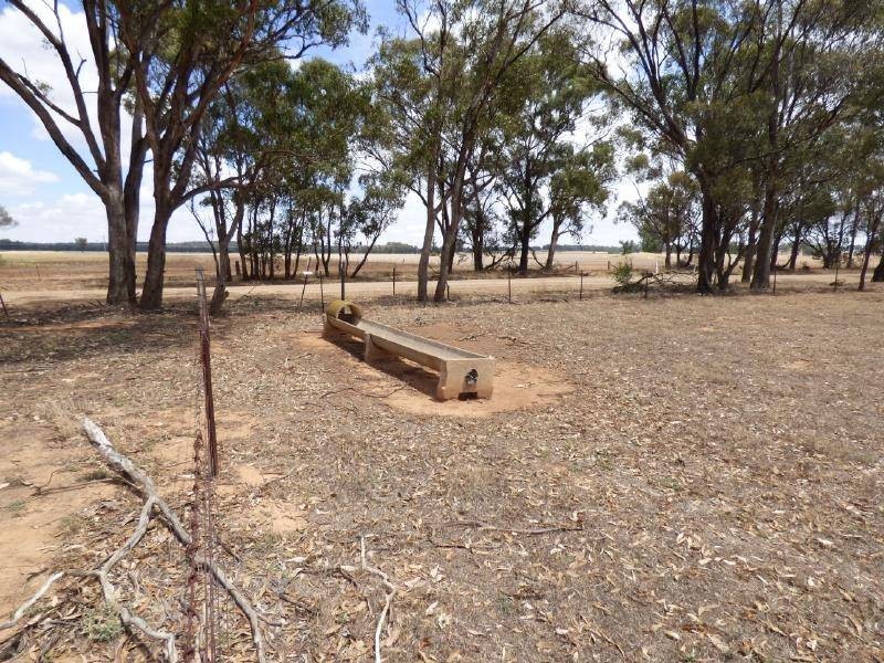 4397 Old Cootamundra Road, Temora NSW 2666