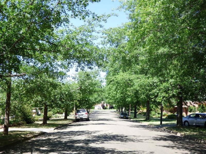 5 Dickson Street, Cootamundra NSW 2590